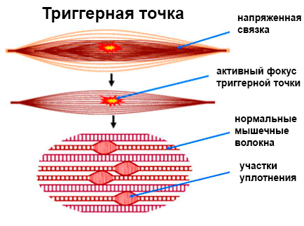 Рисунок1.png